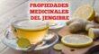 PROPIEDADES MEDICINALES DEL JENGIBRE Amuletos Y Talismanes