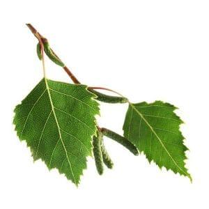 Como Atraer el DINERO según tu Signo Zodiacal