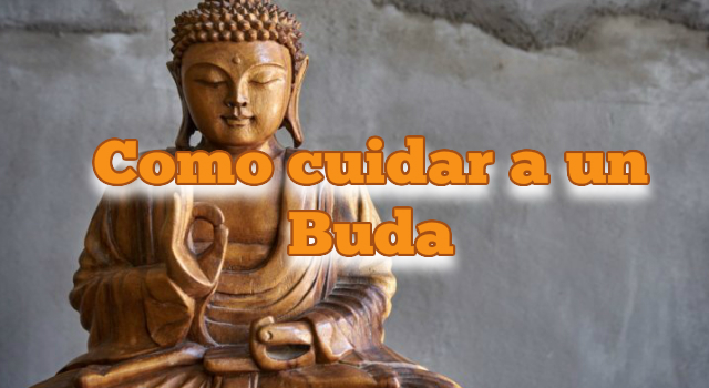 Náutico diámetro Enseñando Como cuidar a un Buda - Amuletos y Talismanes